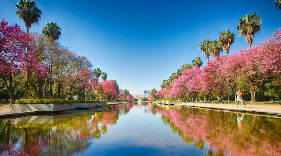 O que fazer em Porto Alegre ?