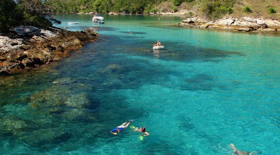 Meet the Best Places to Dive on the Brazilian Coast