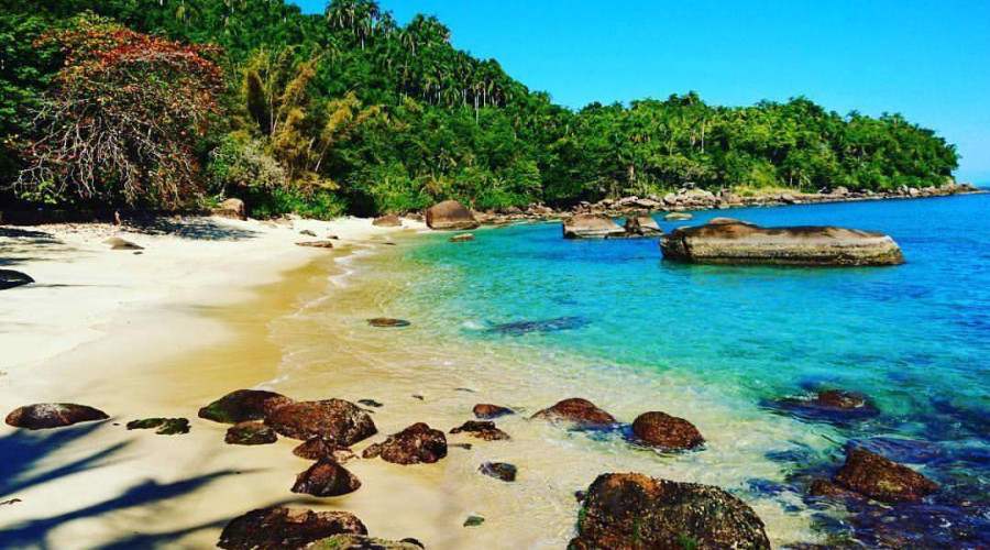 O que fazer em Ilha das Couves