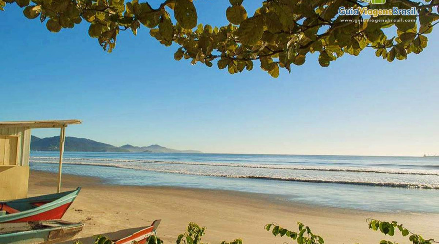 Discover here the best of Meia Praia Itapema - SC